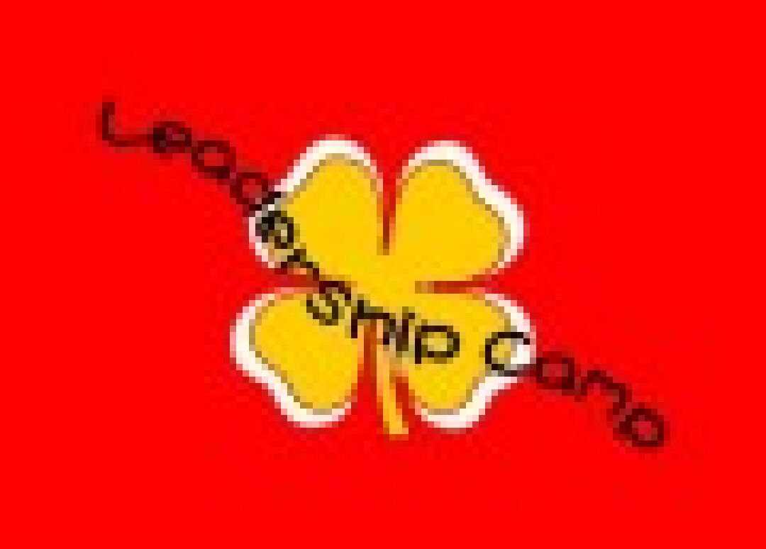 【活動報名】第30屆四健青年領袖營學員熱烈報名中！